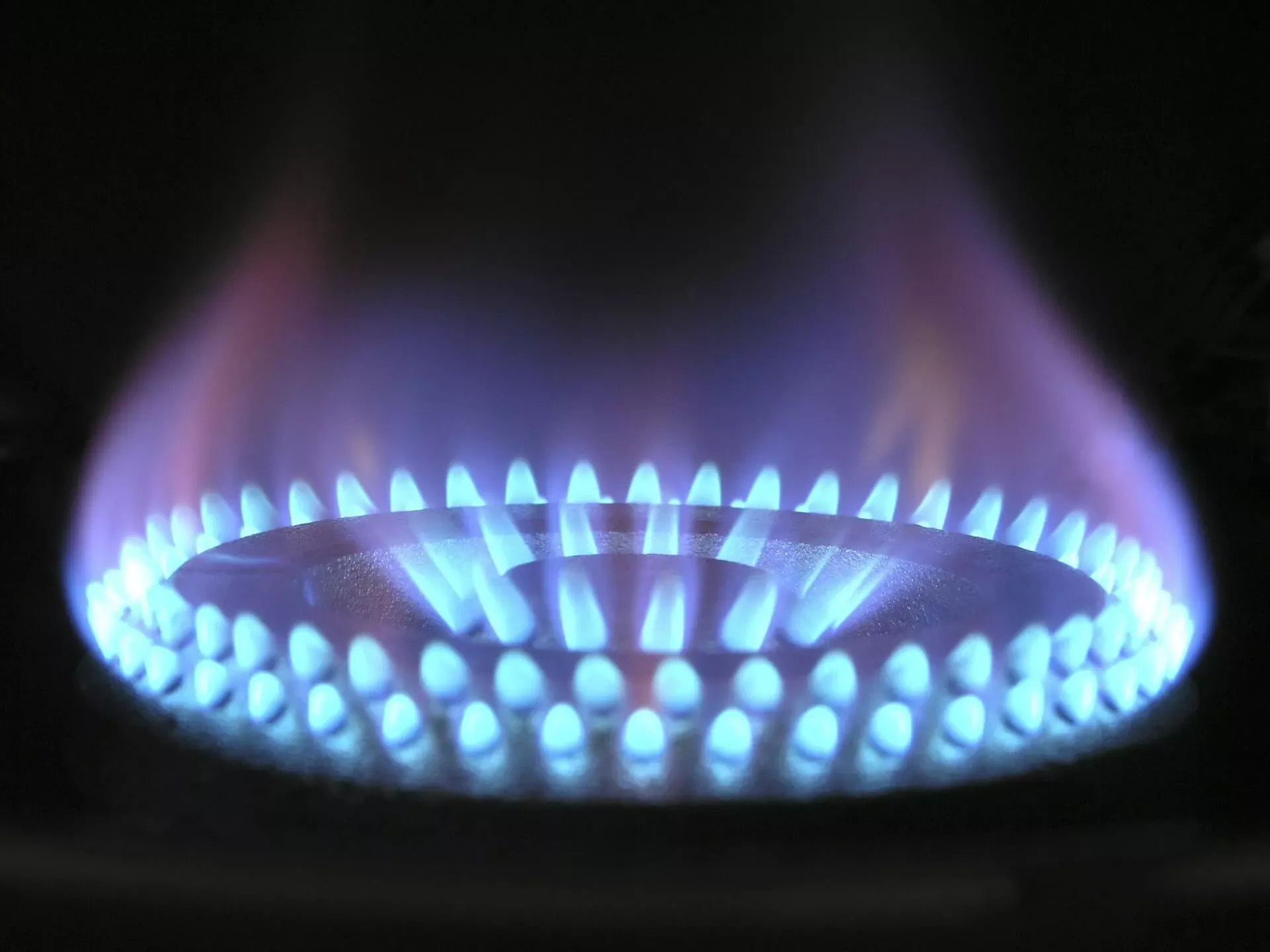 Blue gas burner flame showing safe combustion during a gas safety check.